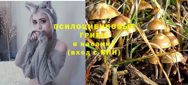 бутират Белокуриха